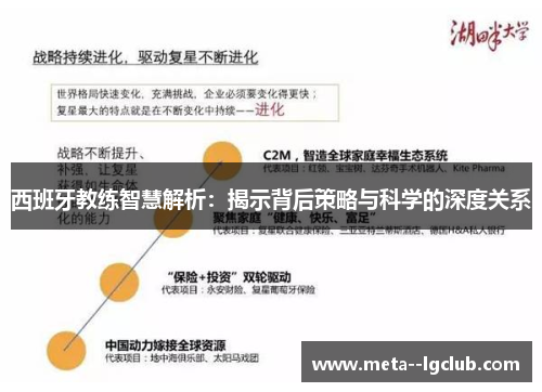 西班牙教练智慧解析：揭示背后策略与科学的深度关系